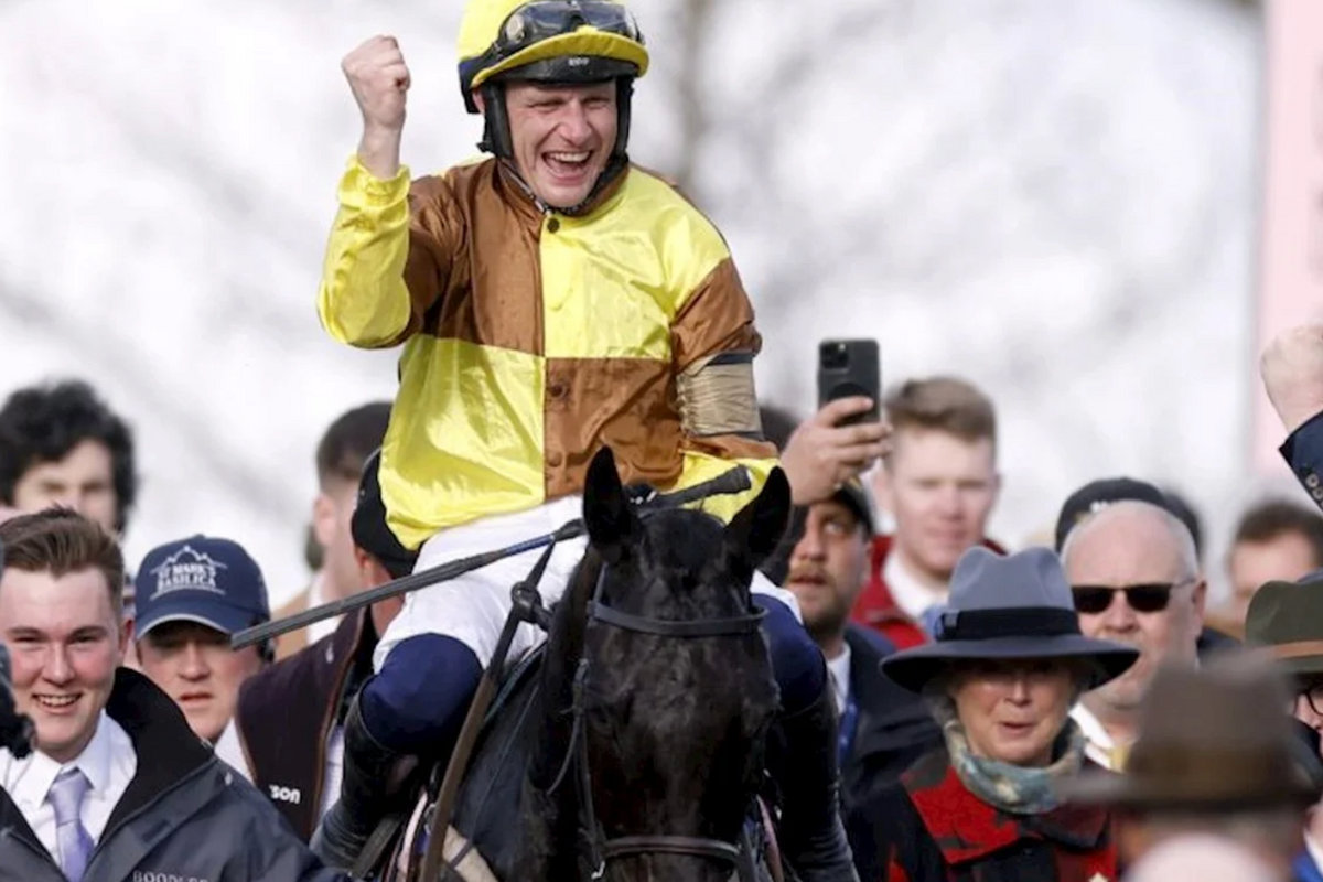 Cheltenham Races